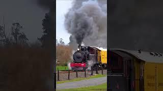 NZ Steam at its best! Part 1 #steamtrain #trains #trainspotting