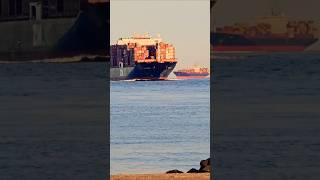 SUNSET SHOOTING #giant #containership #HUGE #amazing #awesome #ship
