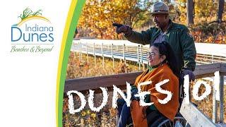 How to Stay Safe in the Dunes — Dunes 101: Safety & Responsibilities | Indiana Dunes