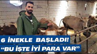 Genç Çiftçi 6 Hibe İnekle Başladı! "Bu İşin Geliri Yüksek" | AGRO TV Haber