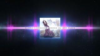 ELISSA - TESADAA BEMEEN | إليسا - تصدق بمين DJ SPY REMIX 2025