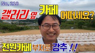 직접 보시면 정말 마음에 드실겁니다 갤러리옆 카페 부지로 강력추천 드리는땅 세종시 계획관리지역 네모 반듯한 토지 매매