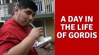 A Day In The Life Of Gordis
