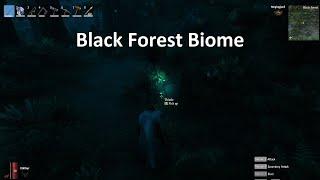 Biome Breakdown: Black Forest - Things You Need to Know About The Second Biome