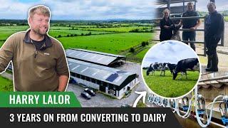 3 Years on From Converting to Dairy  - Joe & Harry Lalor