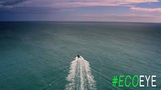 Ireland’s Big Blue (Ireland’s Marine Environment) EE19 EP6