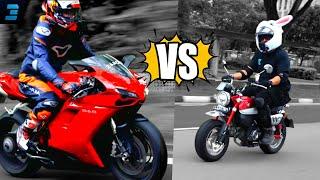 Ducati or Honda Monkey? Who gets more attention?