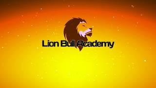 Lion Bull Academy   New account for stocks dividends in Etoro