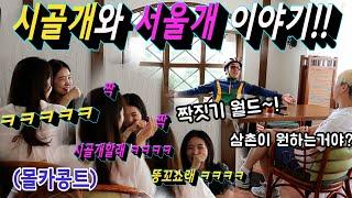 [Eng sub][Prank] What if you hear your uncle wants to reborn as a dog?! LOL LOL