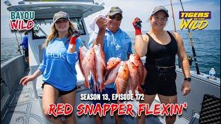 Bayou Wild [ep172] RED SNAPPER FLEXIN' | Tigers in the Wild | Season 13 Full Episodes