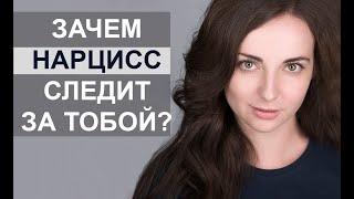 Нарциссы и соц сети. Следит ли бывший за тобой? И как снова не угодить в капкан? [Great Life Open]