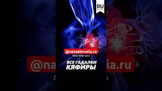 Все гадалки кяфиры. #насаатмедиа #rec #rek #film #шейх_чубак_ажы #live #чубакажы #ислам #насаат
