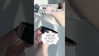 4년 내내 이것만 씀