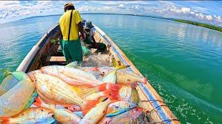 EPIC TOUGHEST 8 HRS RED SNAPPER FISHING!!! #fishing #fish #adventure #seafood