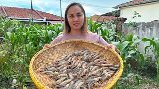 DUA RESEPI UDANG SEGAR | LEMPIS DAN GORENG SOS BERSAMA PETAI