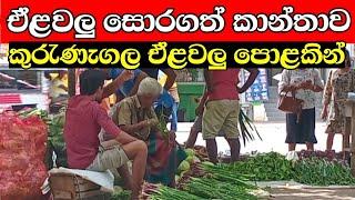 ඒළවලු  සොරාගත් කාන්තාව | vegetable market in sri lanka  | Street Food  in sri lanka