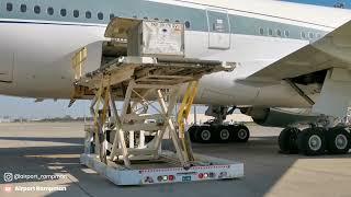 How Airport Staff Offload a ULD (Unit Loading Device) Container From Airplanes