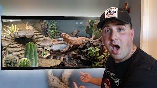 The #1 Bearded Dragon Tank Setup!! - 75 Gallon Enclosure