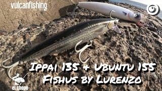 Ippai 135 & Ubuntu155  Fishus by Lurenzo