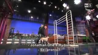 Stupid Pet Tricks Letterman 01-05-13