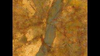 The Miller's Meadow Drone Footage
