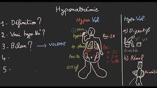 Hyponatrémie en 5 étapes - Docteur Synapse