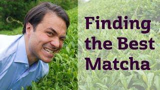 Finding the Best Matcha | JAPAN TRIP