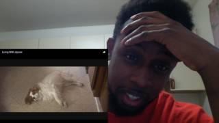 Living with Jigsaw Reaction