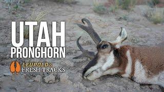 A Lifetime in the Making | Hunting a COVETED Pronghorn Tag in UTAH #FreshTracks