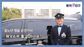 [동작새친구] 지상의 파일럿! 웨딩 쇼퍼를 아시나요?