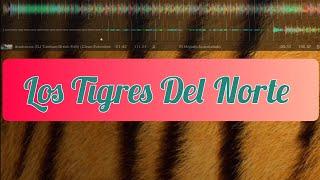 Corridos - IAMDJAZTECA - #tigresdelnorte