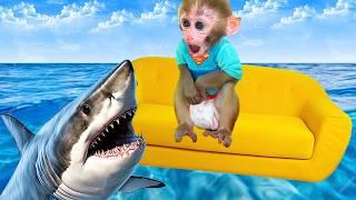 Monkey Baby Bon Bon eat sausage jelly and naughty with ducklings in the swimming pool