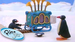 Pingu and the Barrel Organ  | Pingu Official | Cartoons for Kids