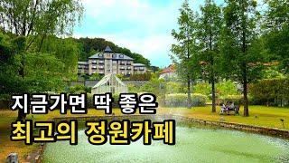 서울근교 정원카페 추천 이천 티하우스에덴