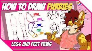 【How To Draw Furries 】Legs and Feet Paws