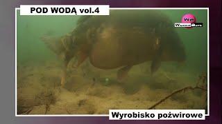 Warmuz Baits - Pod Wodą vol.4