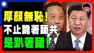 【瘋狂打臉】中共大外宣：中國有言論自由，但我不敢説習維尼！把台灣2300萬人關集中營！習近平 一国两制 財商思維 个人成长 统一 兩岸 习近平 自我提升 中共 九二共识 財富自由 反共 台独 中華民國