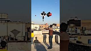 Long Black'nWhitekite Flying  Patang Lover  #shorts #viral #patang #kiteflying #kite #ytshorts