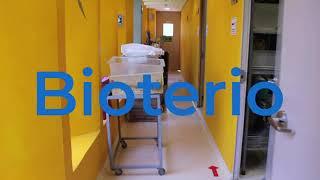 Bioterio, Facultad de Ciencias UNAM