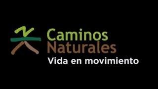 Caminos Naturales: Vida en Movimiento