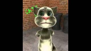 Killer Talking Tom Cat