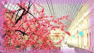 RUSSIA 2018: Incredibly beautiful GUM STORE in spring flowers