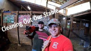 A New Horse Has Arrived! | Cleaning Our Stable | Prepping For Square Bales