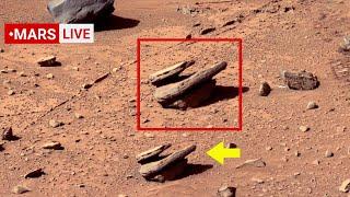 NASA Mars Rover Perseverance Sent Super Incredible Footage of Cheyava Falls! Curiosity' Mars In 4K