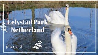 Lelystad Park Netherlands - part 2 --- Нидерланды  Природный парк Лелистад Часть 2