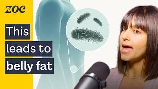 Is your gut microbiome preventing weight loss? | Dr. Suzanne Devkota and Prof. Tim Spector