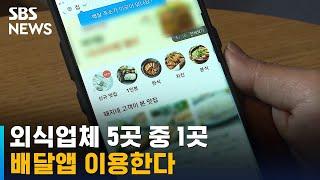 외식업체 5곳 중 1곳, 배달앱 이용한다 / SBS