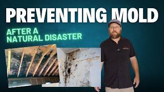 How to Prevent or Mitigate Mold after a Natural Disaster #Hurricane Cleanup Tips