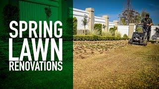 How to Undertake a Lawn Renovation | Buffalo, Zoysia & Couch