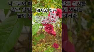 대지의 항구 #김용임#백년설#트로트#1942백년설인생곡ㆍ최대히트애창곡